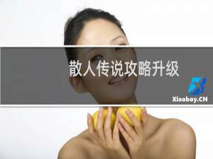 散人传说攻略升级