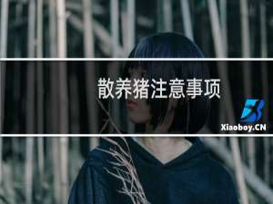 散养猪注意事项