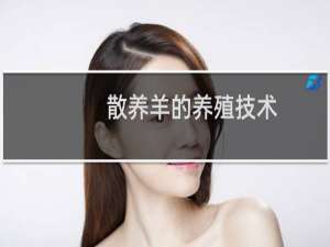 散养羊的养殖技术