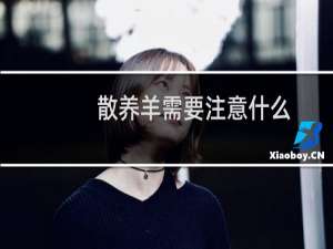 散养羊需要注意什么