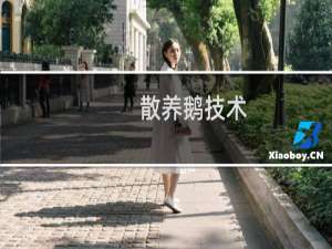 散养鹅技术
