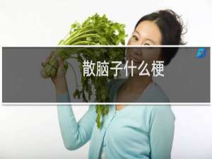 散脑子什么梗？什么梗