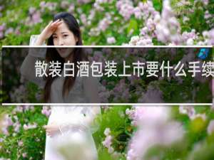 散装白酒包装上市要什么手续