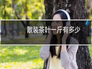 散装茶叶一斤有多少