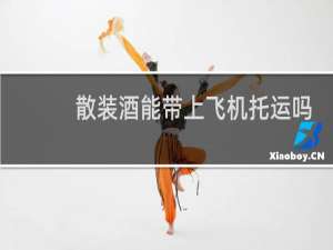 散装酒能带上飞机托运吗