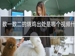 数一数二的烧鸡出处是哪个视频什么梗