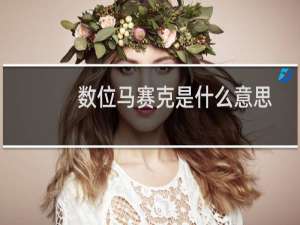 数位马赛克是什么意思