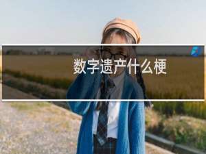 数字遗产什么梗？什么梗
