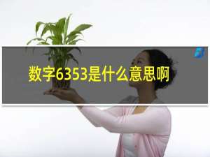 数字6353是什么意思啊