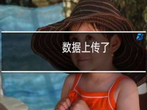 数据上传了，二级域名打不开