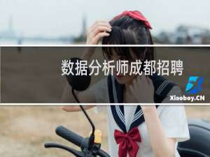 数据分析师成都招聘