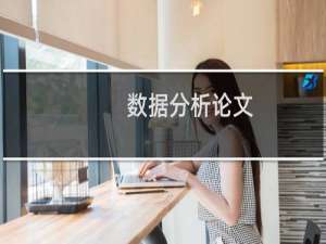 数据分析论文