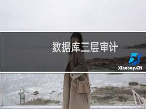 数据库三层审计