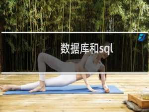 数据库和sql