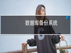 数据库备份系统