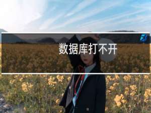 数据库打不开，网站的一部分内容丢失了