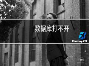 数据库打不开，请问什么原因