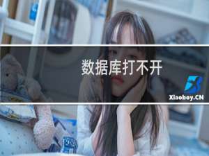 数据库打不开，连接不上去