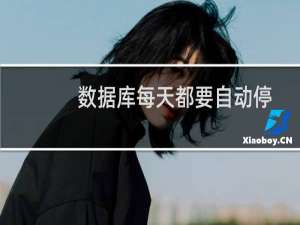 数据库每天都要自动停止-云服务器问题