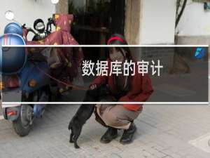 数据库的审计
