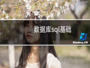 数据库sql基础