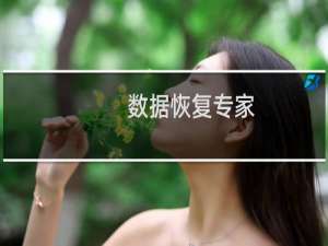 【数据恢复专家】免费数据恢复专家软件下载