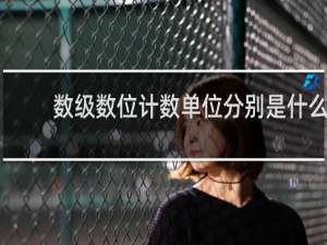 数级数位计数单位分别是什么