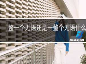 整一個無語還是一整個無語什么梗