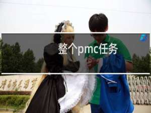 整个pmc任务
