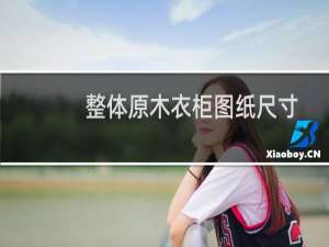整体原木衣柜图纸尺寸