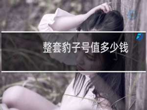 整套豹子号值多少钱