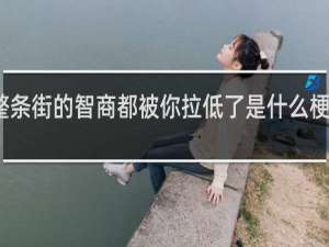 整条街的智商都被你拉低了是什么梗什么梗