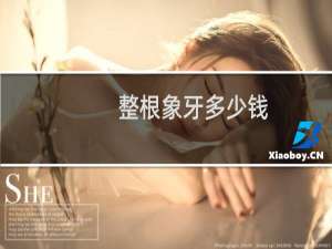 整根象牙多少钱