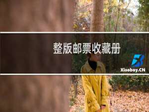 整版邮票收藏册