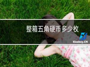 整箱五角硬币多少枚
