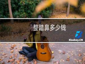整踏鼻多少钱