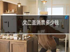 文二盖消票多少钱