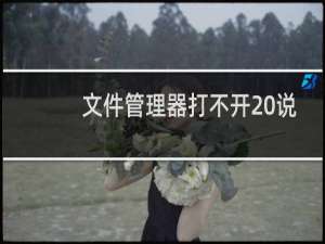 文件管理器打不开 说二次身份验证失败