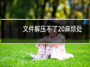 文件解压不了 麻烦处理下