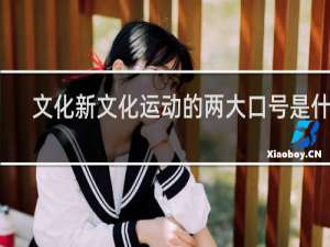文化新文化运动的两大口号是什么