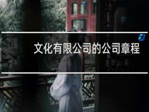 文化有限公司的公司章程