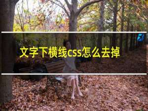 文字下横线css怎么去掉