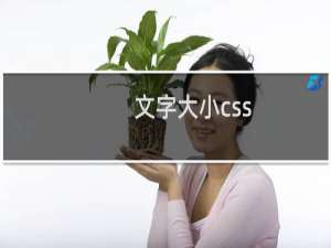文字大小css
