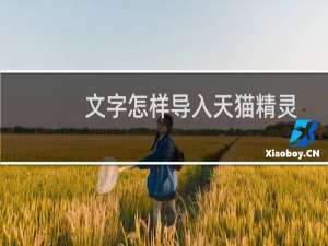 文字怎样导入天猫精灵