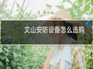 文山安防设备怎么选购