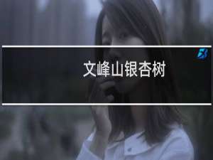 文峰山银杏树
