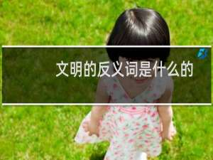 文明的反义词是什么的反义词是什么（文明的反义词是什么标准答案）