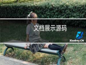 文档展示源码