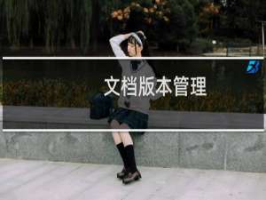文档版本管理