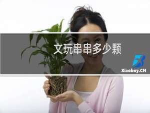文玩串串多少颗